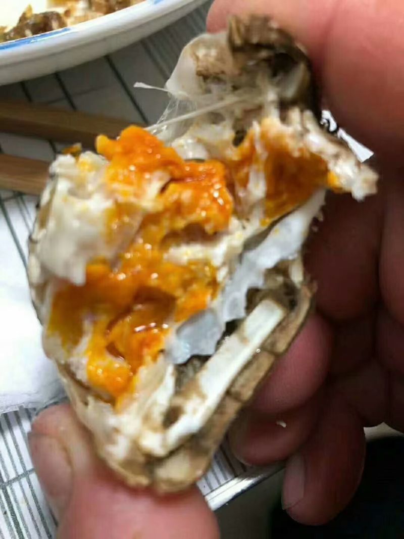 正宗盘锦稻田河蟹批发零售产地批发膏满黄肥