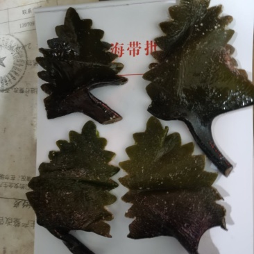 盐渍海带花头、海带结、海带丝、海带嫩苗。