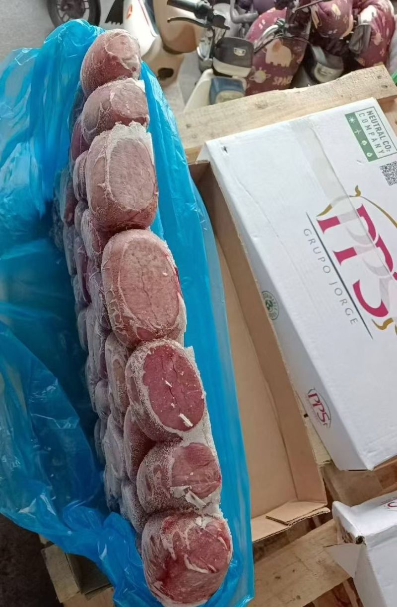 709猪宝