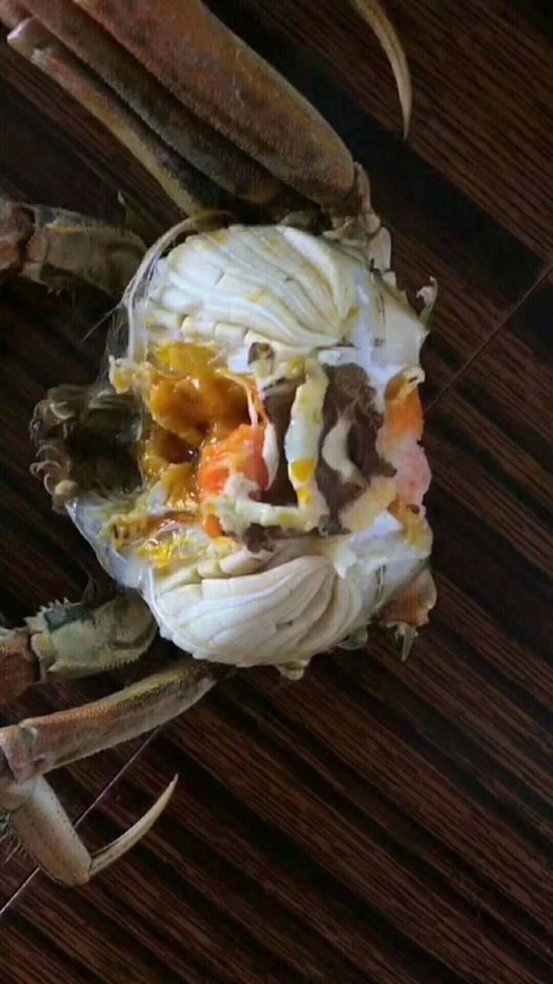 正宗盘锦稻田河蟹批发零售产地直发，膏满黄肥，