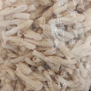 无硫红托竹荪