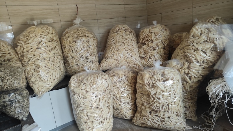 无硫红托竹荪