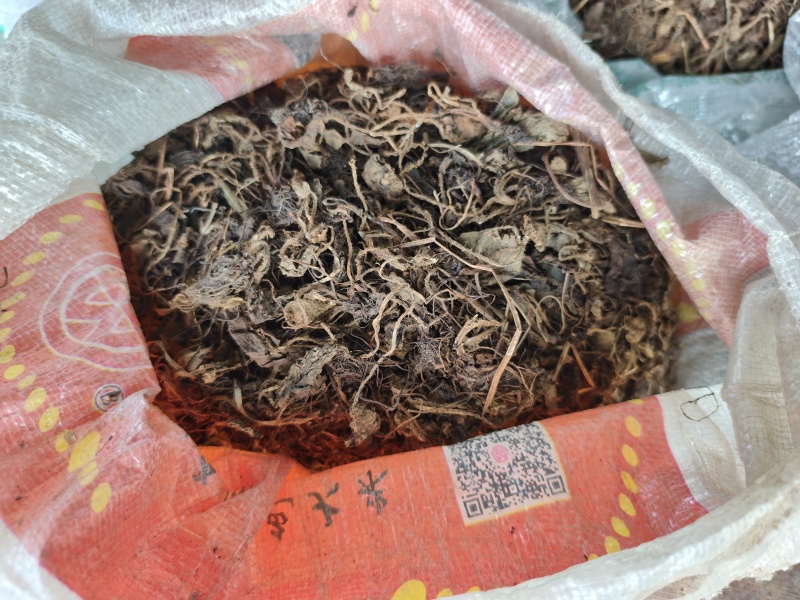 贵州铜仁非种植中药材虎耳草无硫干品质优价廉欢迎购买
