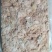 板冻鸡板油各种鸡鸡板油