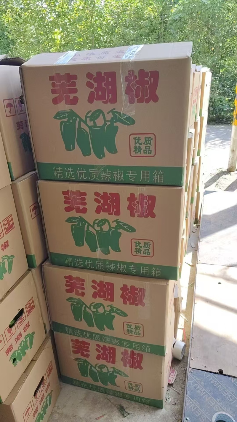 芜湖椒薄皮椒对接批发市场采购商超电商等全国可走货