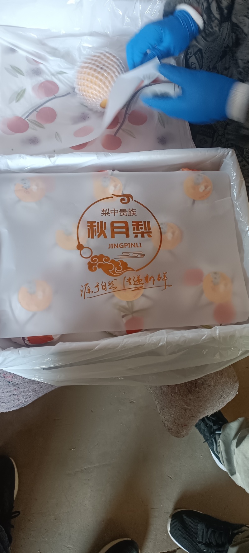 秋月梨礼盒