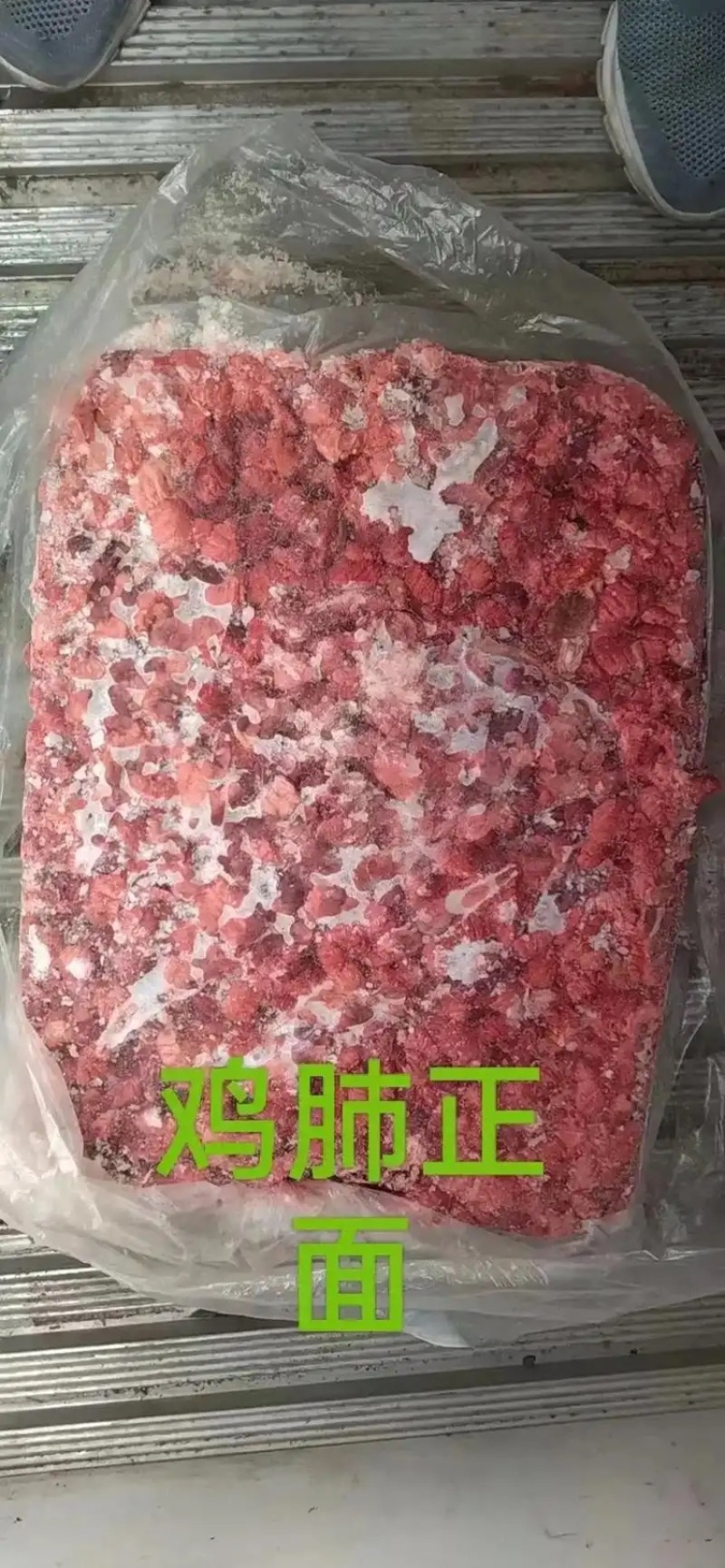鸡肺
