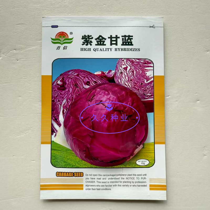 紫金甘蓝种子圆球形紫甘蓝种籽紫红色包心菜种孑大头菜