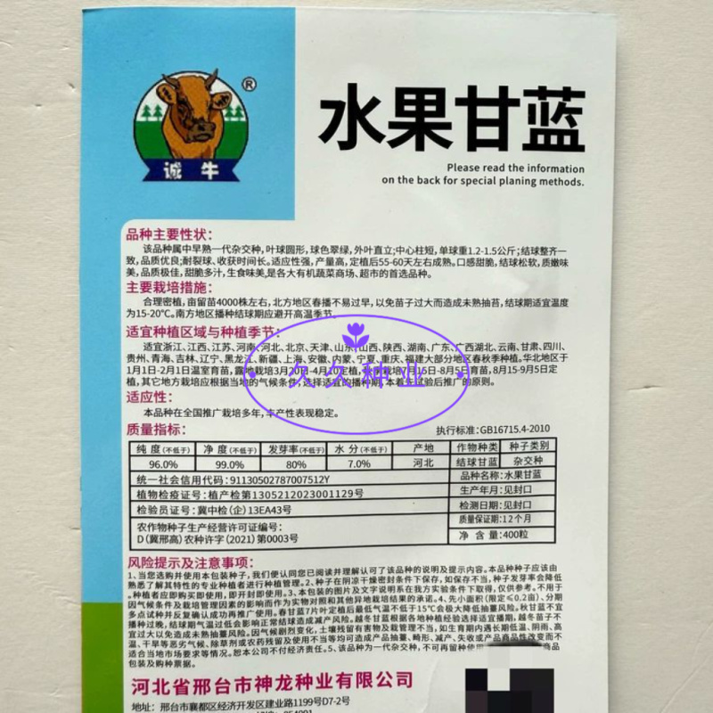 水果甘蓝种子球色翠绿质嫩甜脆多汁甘蓝籽春秋季阳台盆栽