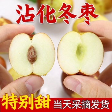 沾化冬枣鲜枣一件代发对接各大平台抖音快手视频号日发2万件