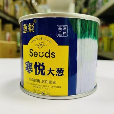寒悦大葱种子抗病抗倒葱白粗壮紧实蜡粉后不易折叶商品性好葱