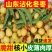 沾化冬枣鲜枣一件代发对接各大平台抖音快手视频号日发2万件