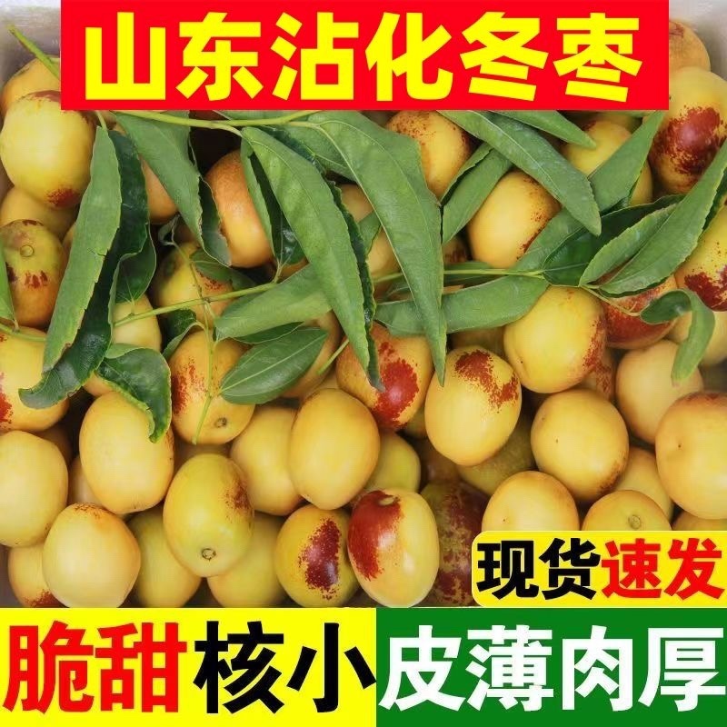 沾化冬枣鲜枣一件代发对接各大平台抖音快手视频号日发2万件