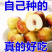 沾化冬枣鲜枣一件代发对接各大平台抖音快手视频号日发2万件