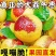 沾化冬枣鲜枣一件代发对接各大平台抖音快手视频号日发2万件