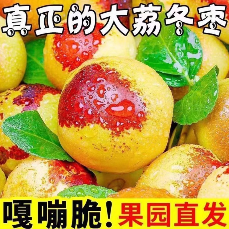 沾化冬枣鲜枣一件代发对接各大平台抖音快手视频号日发2万件