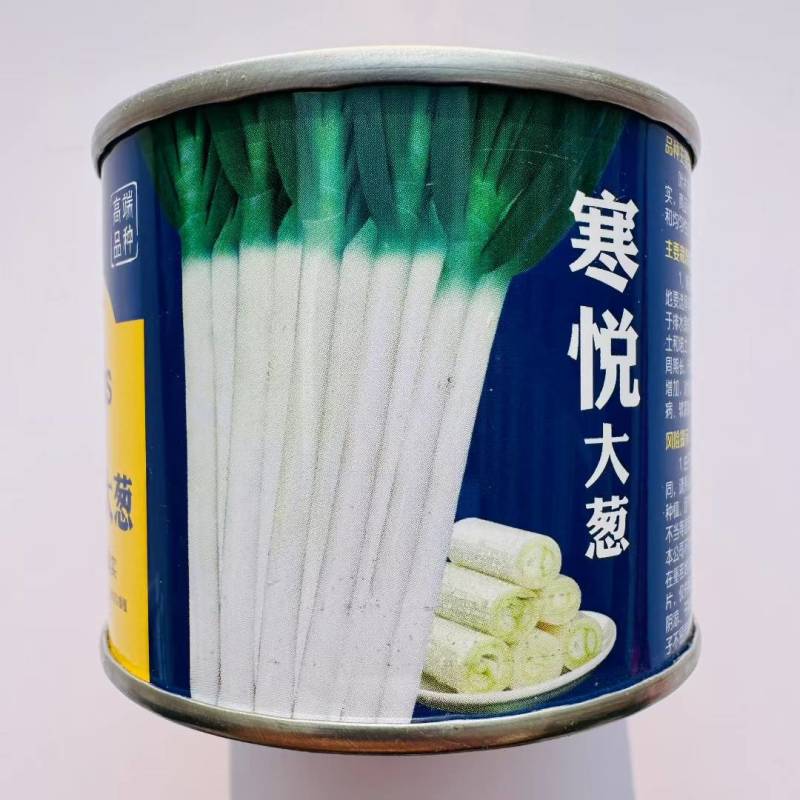 寒悦大葱种子抗病抗倒葱白粗壮紧实蜡粉后不易折叶商品性好葱