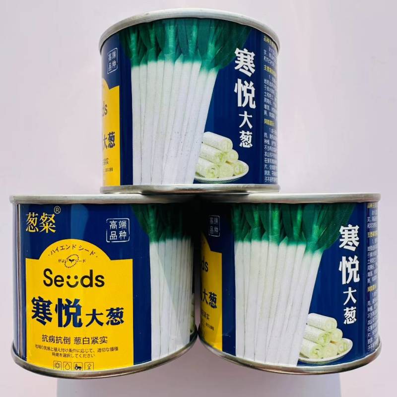 寒悦大葱种子抗病抗倒葱白粗壮紧实蜡粉后不易折叶商品性好葱