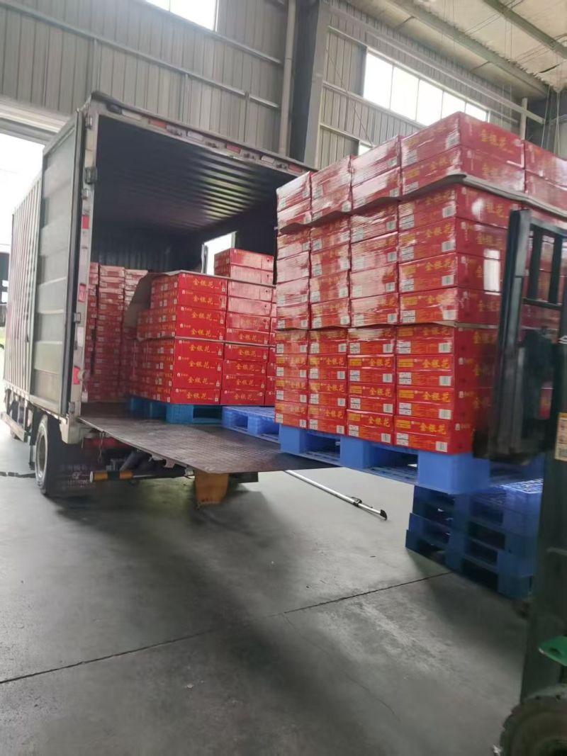 金银花饮料