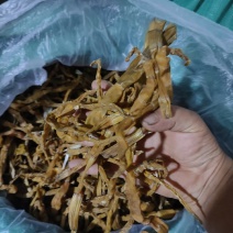 新鲜高山嫩芽干竹笋