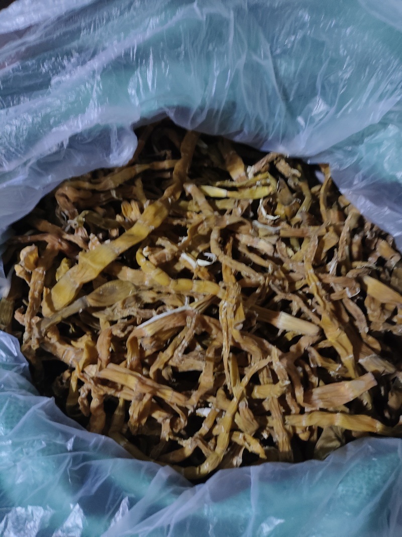 新鲜高山嫩芽干竹笋