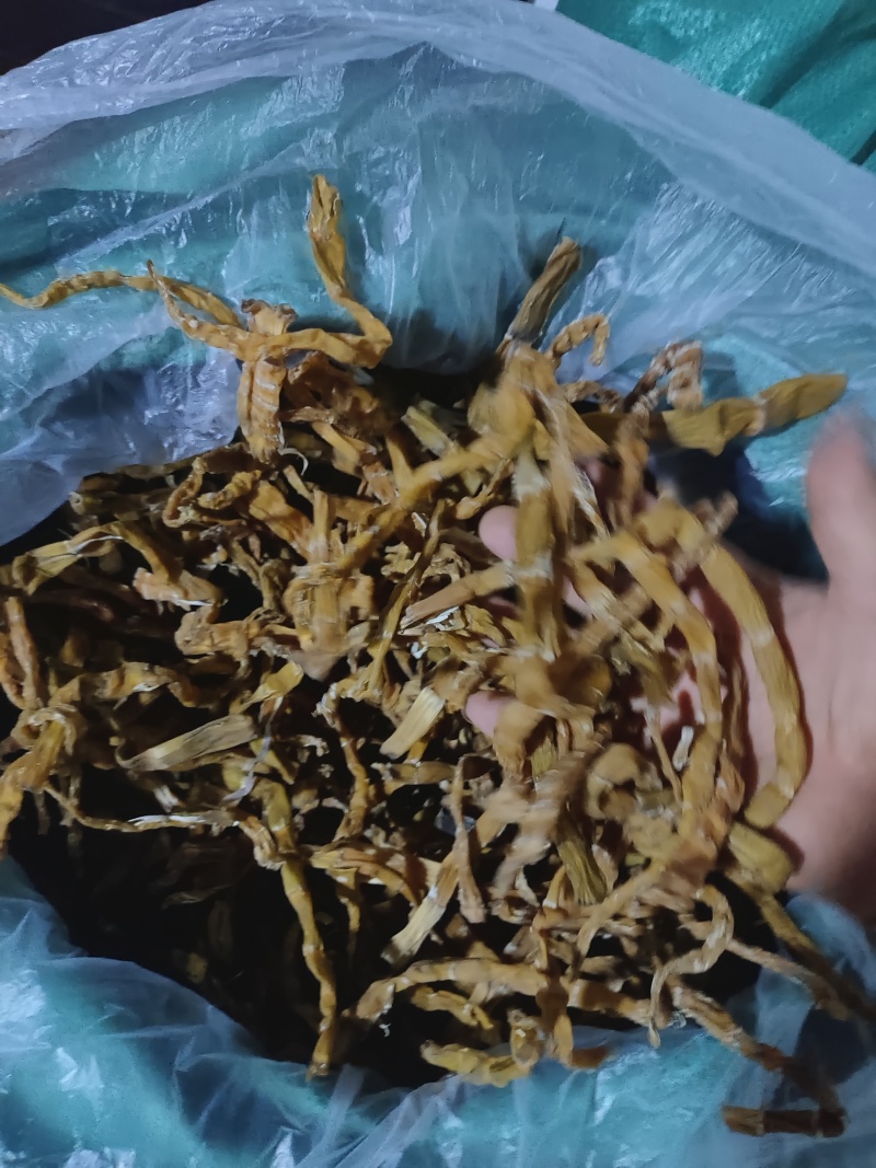 新鲜高山嫩芽干竹笋