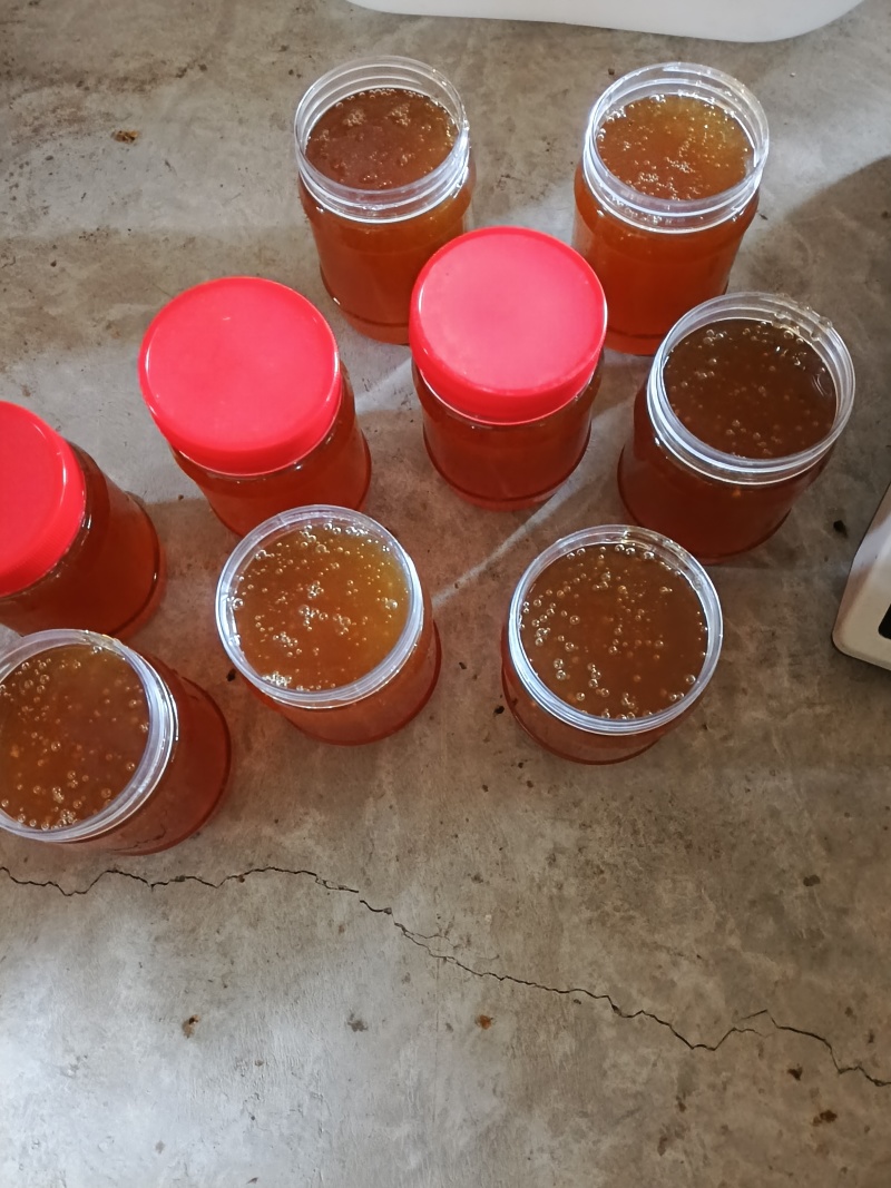 【深山土蜂蜜·自然馈赠】源自海拔千米深山土蜂蜜干预