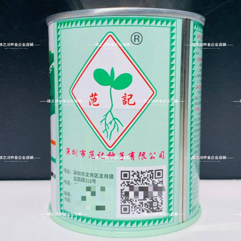 广东碧绿尖叶油青菜心种子粗条抗热抗雨四季甜菜心种籽春夏秋