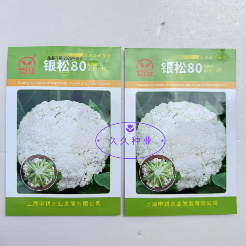 银松80松散型松花菜种子青梗花椰菜种子高产松花菜种子