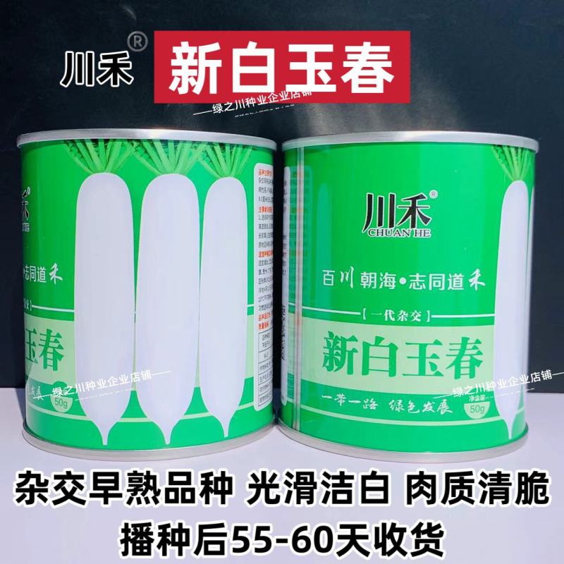新白玉春萝卜种子杂交早熟白萝卜种子清脆味甜光滑洁白萝卜籽