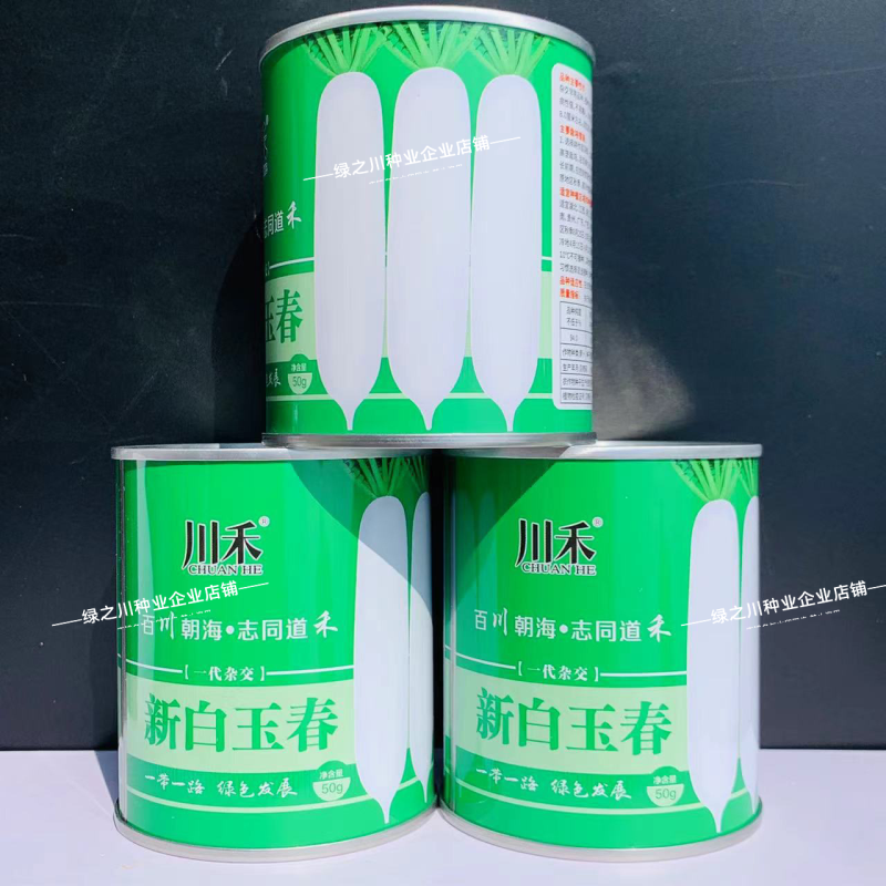 新白玉春萝卜种子杂交早熟白萝卜种子清脆味甜光滑洁白萝卜籽
