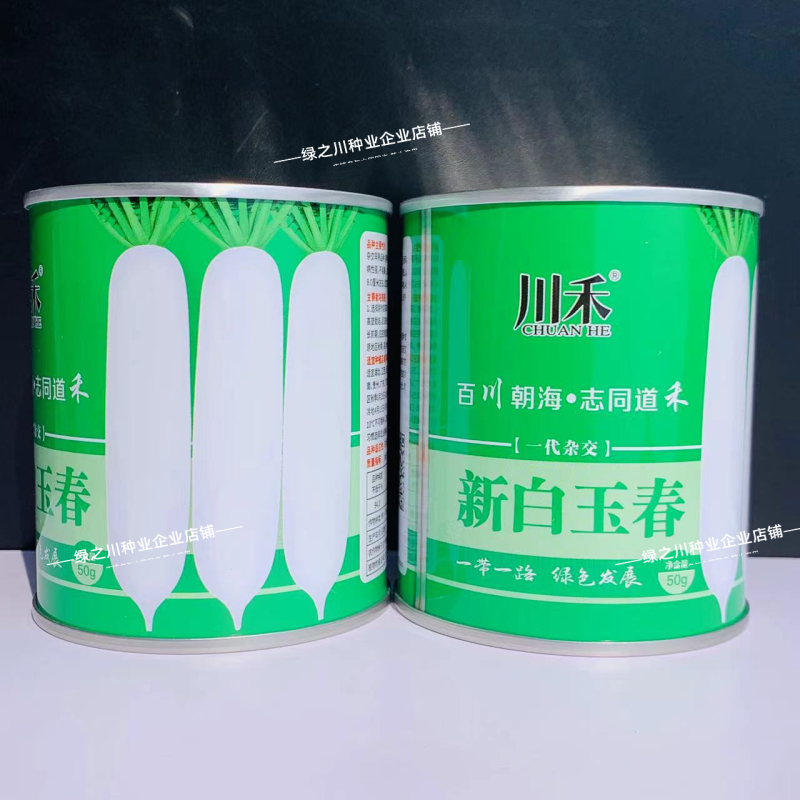 新白玉春萝卜种子杂交早熟白萝卜种子清脆味甜光滑洁白萝卜籽