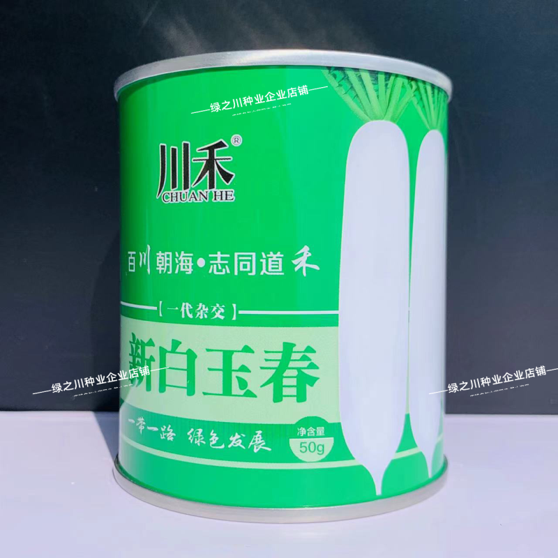新白玉春萝卜种子杂交早熟白萝卜种子清脆味甜光滑洁白萝卜籽