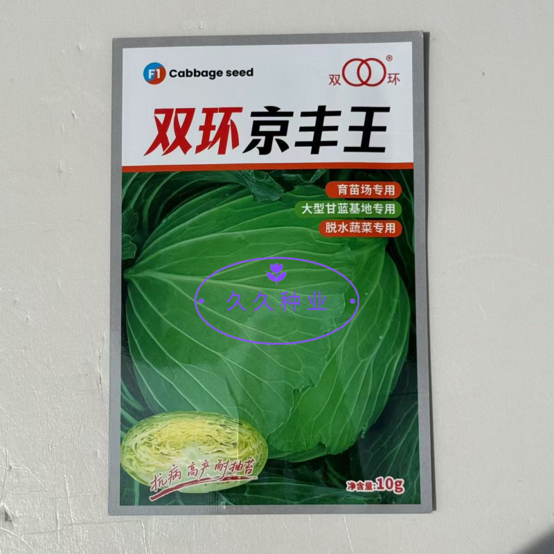 双环京丰王中早熟杂交甘蓝种子高产抗病耐抽苔商品性佳秋季播
