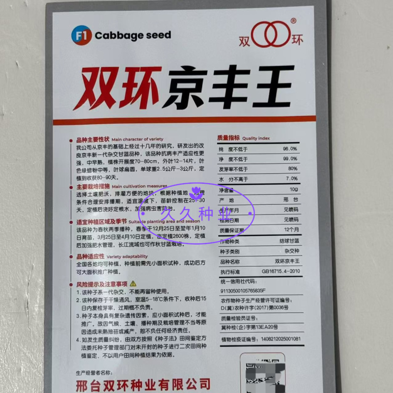 双环京丰王中早熟杂交甘蓝种子高产抗病耐抽苔商品性佳秋季播