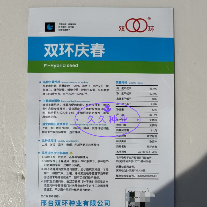 双环庆春甘蓝种子春夏秋播种早熟黄心甘兰种籽单球重3斤