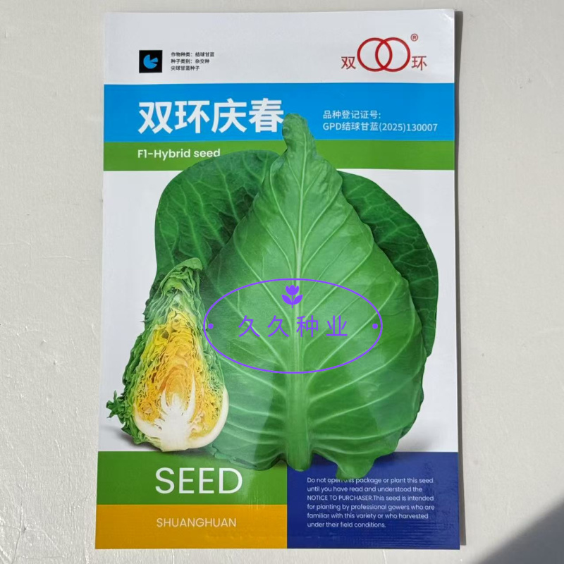 双环庆春甘蓝种子春夏秋播种早熟黄心甘兰种籽单球重3斤