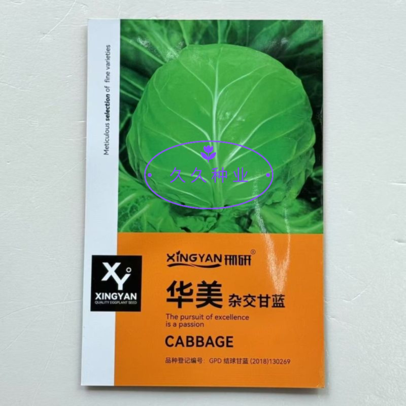 华美杂交甘蓝种子早熟结球紧实形卷心菜种籽抗病强春秋播甘蓝