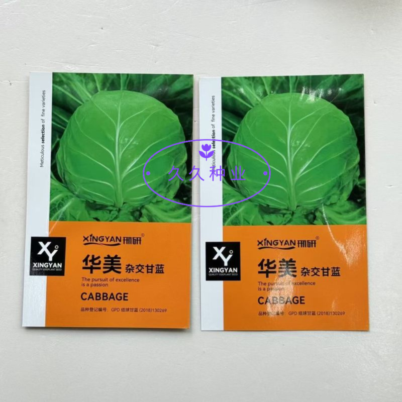 华美杂交甘蓝种子早熟结球紧实形卷心菜种籽抗病强春秋播甘蓝