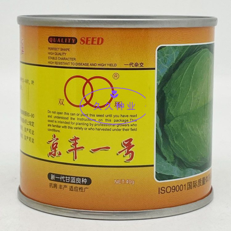 双环京丰一号甘蓝种子中熟叶色深绿蜡粉中等叶球扁圆春季栽培