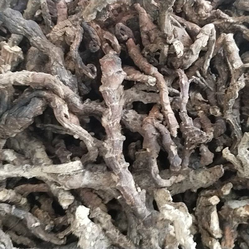 ***石菖蒲正品保障安全自产自销