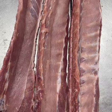 多肉龙骨