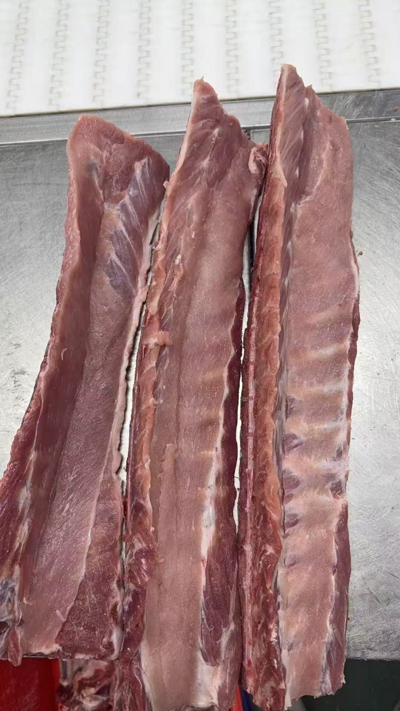 多肉龙骨