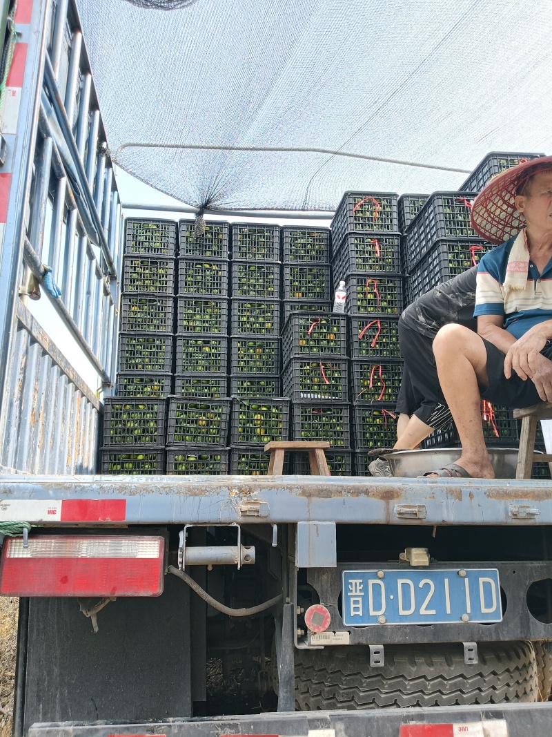 广西桂林兴安特早专业代办