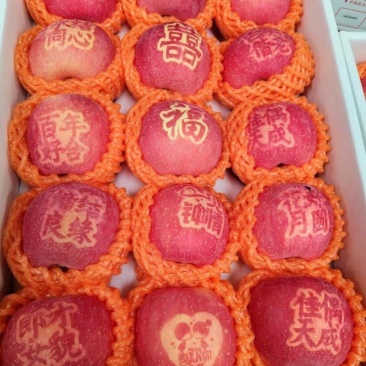 红富士苹果