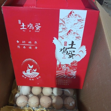 笨鸡蛋
