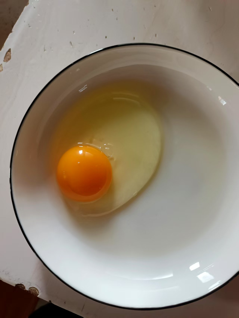 笨鸡蛋