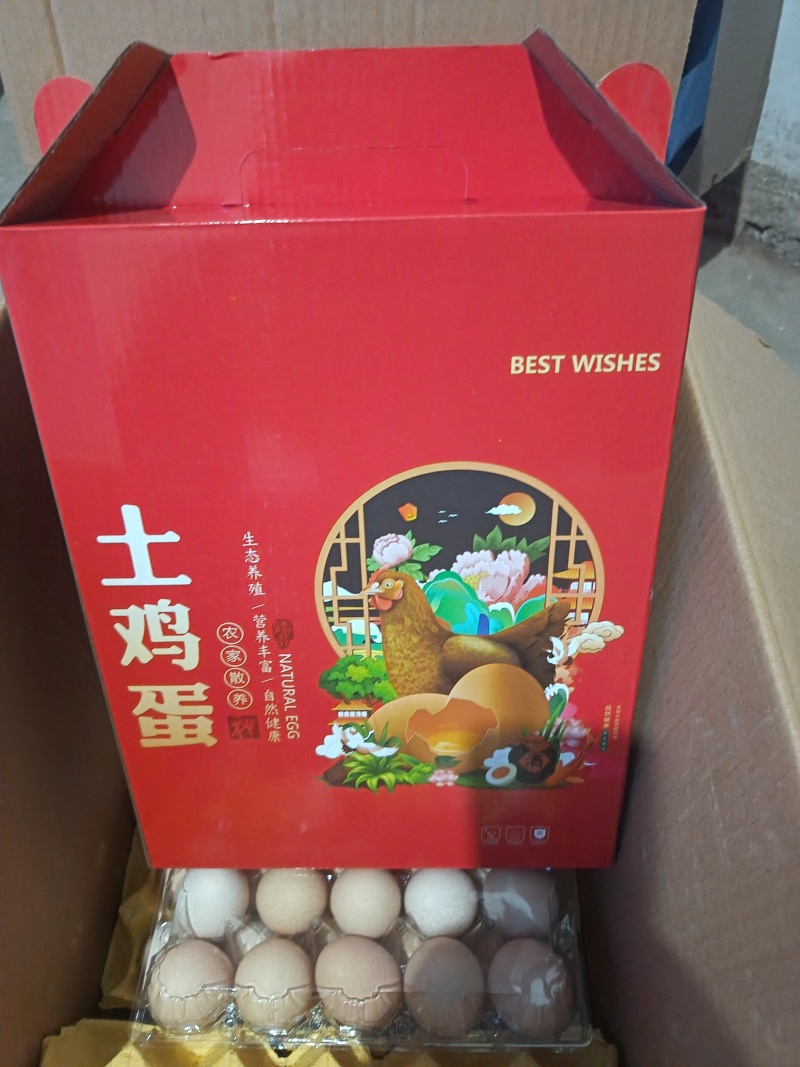 笨鸡蛋