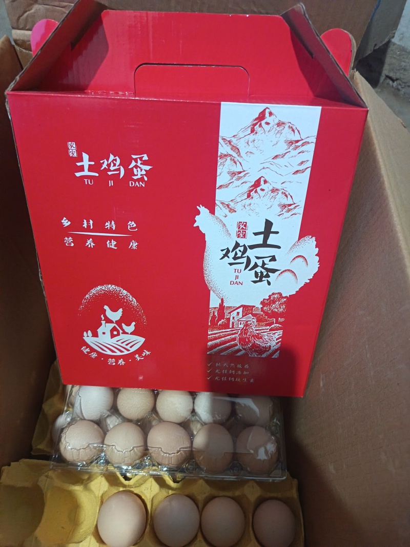 笨鸡蛋