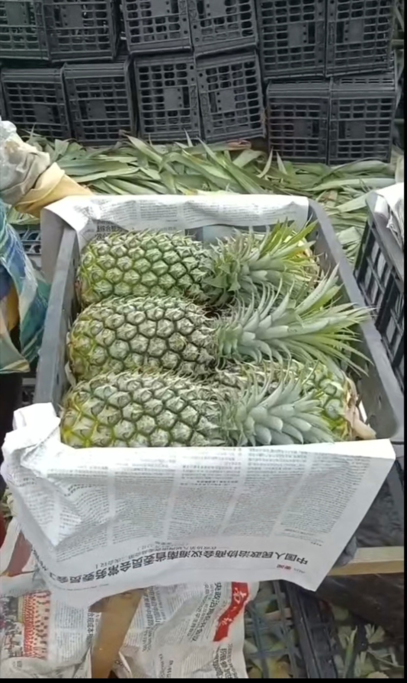 香水菠萝